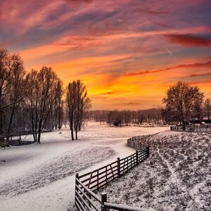 Kreativ-Fotografie_Natur_08.jpg